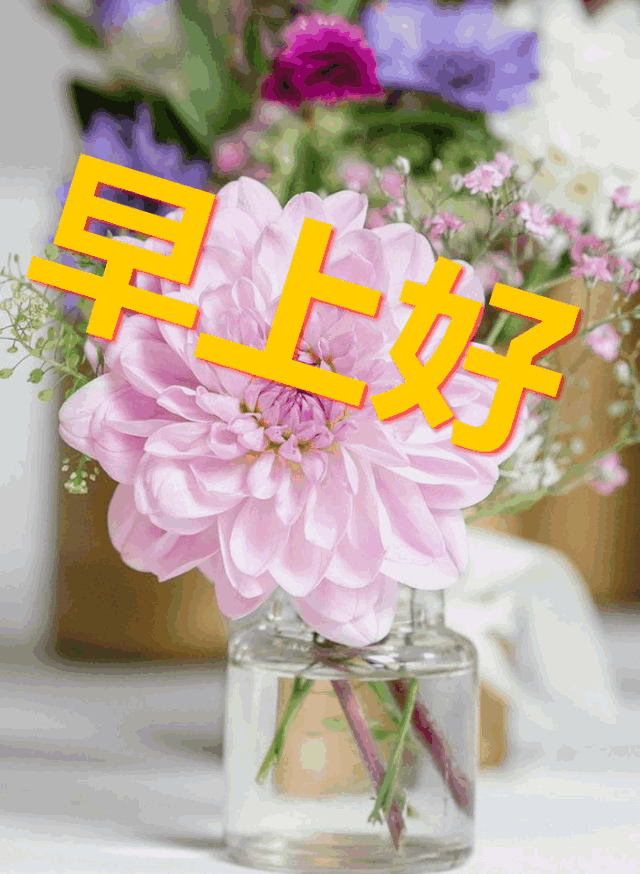 <b>给客人的问候短信：传递温馨，拉近心距</b>